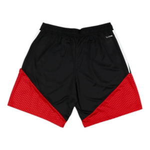 Bayern Múnich x Palm Angels pantalón